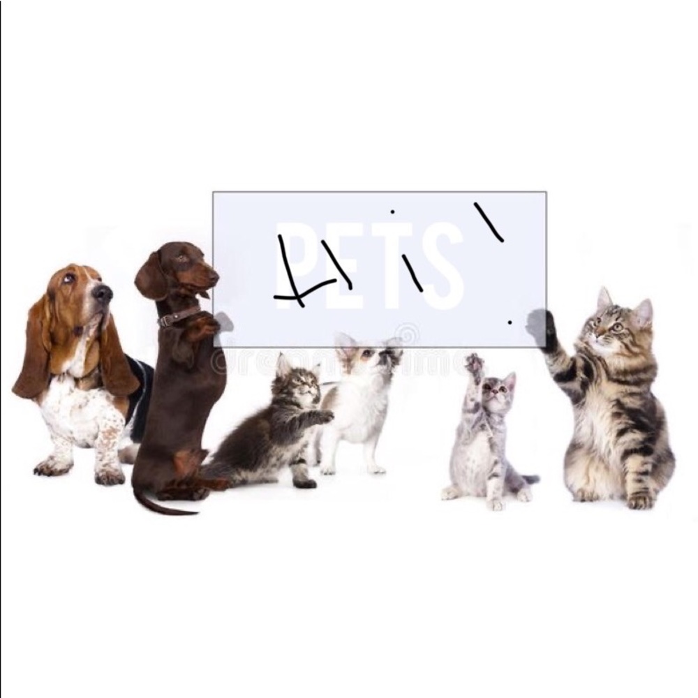 Pets